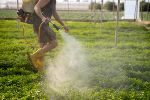 Best Residential Pest Control  in Independence, MN