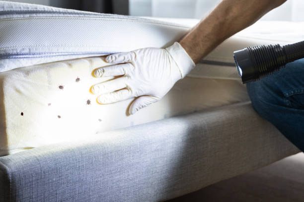 Best Pest Prevention Services  in Independence, MN