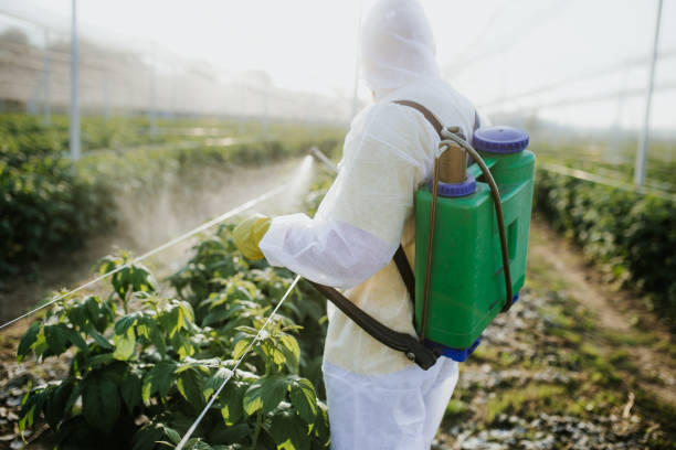 Best Local Pest Control Services  in Independence, MN